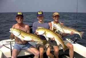 Louisiana Fishing Expeditions